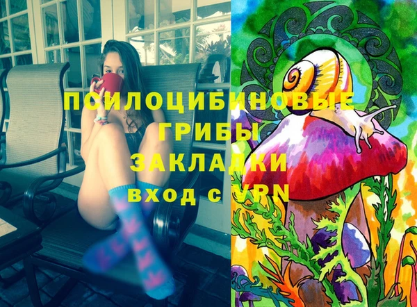 ешки Козловка