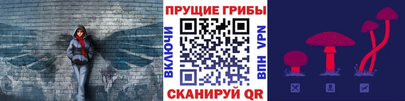 Псилоцибиновые грибы мицелий Октябрьский